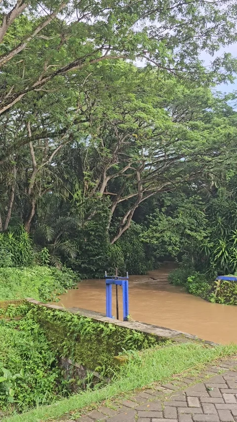 Muddy River Flowing Through Blue Sluice Gates In Tropical Forest Видео 332850650