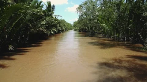 Muddy River Flowing Through Dense Tropical Vegetation in Vietnam Delta Stock Footage 340023757