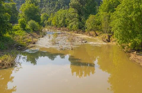 Muddy river flowing through a lush green forest landscape after seasonal fl.. 스톡 사진