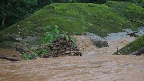 Muddy river flowing through moss-covered rocks Video stock 171380241
