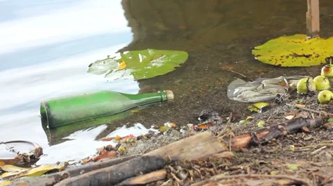 Muddy River Stock Footage 7733367