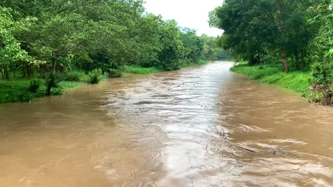 Muddy river Stockbeeldmateriaal 232765239