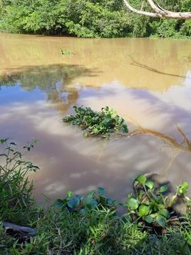 Muddy river Foto stock