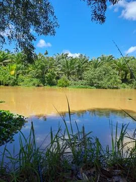 Muddy river Stock Photos