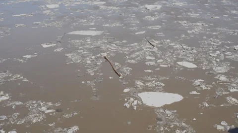 Muddy river water with floating white ice chunks and branches. Stock Footage 332432663