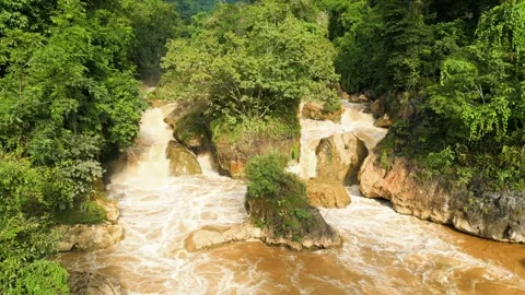 Muddy river water flowing through a tropical jungle in Vietnam Stock Footage 330425464