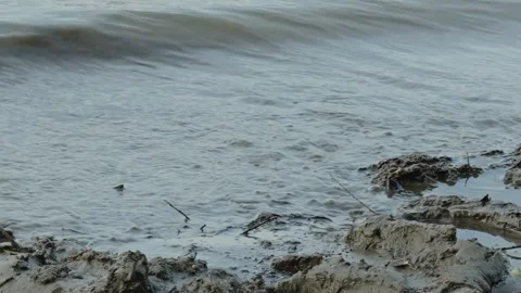Muddy river water with foam bubbles washing onto sandy shore Stock Footage 337753667