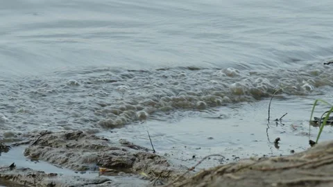 Muddy river water with foam bubbles washing onto sandy shore (4) Stock Footage 337753760
