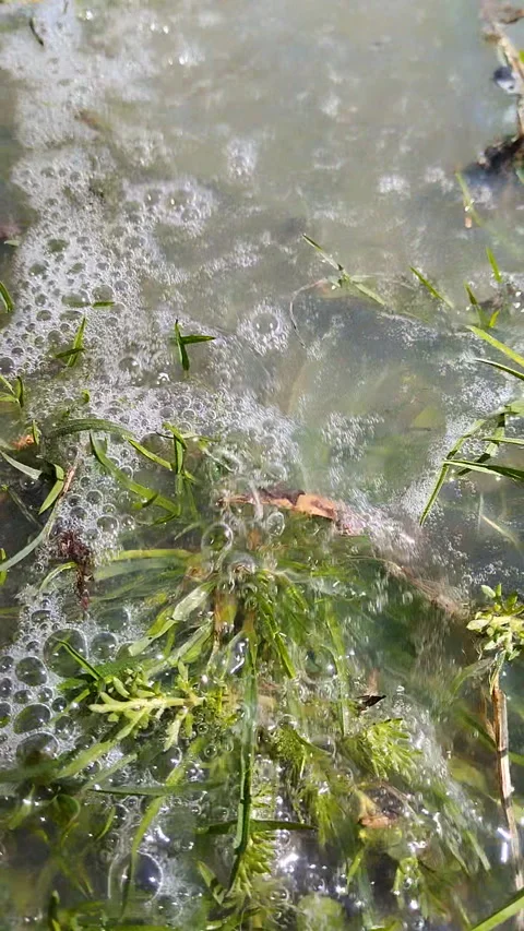 Muddy river water polluted with foam and bubbles Stock Footage 346380260
