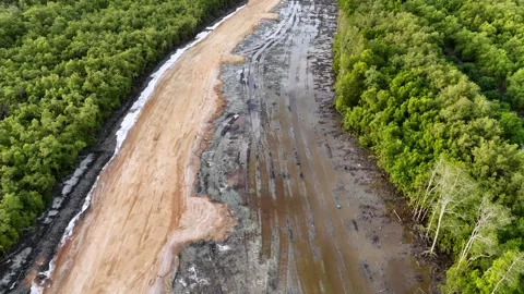 A muddy road with a lot of trees in the background Vídeo Stock 317260142
