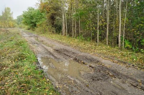 Muddy road Stock Photos