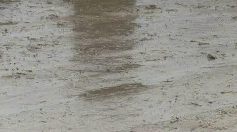 Muddy road in the rain 1 Stock Footage 19249228
