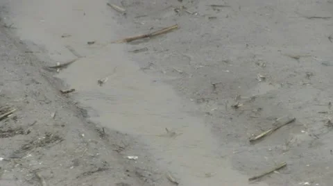 Muddy road in the rain 3 Stock Footage 19246181