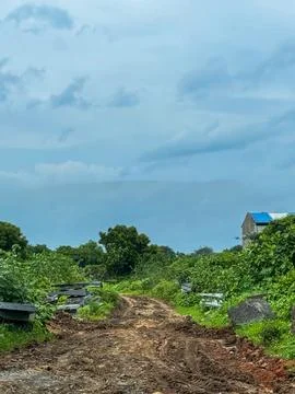A muddy road surrounded by greenery. Stock Photos