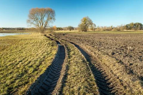 Muddy road through fields and a large tree Stock Photos