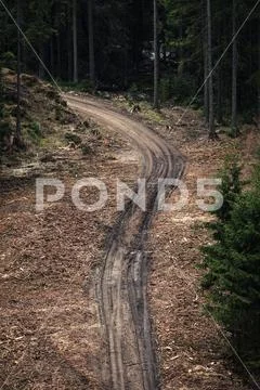 Muddy road in woods Stock Photos