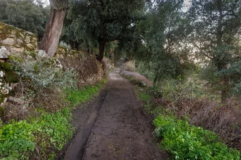 Muddy rural path Stock Photos