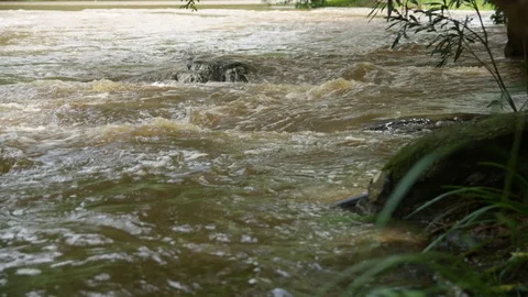 A muddy stream coming  from a mountain Stock Footage 80444797