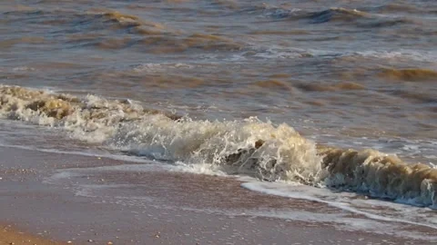 Muddy surf waves. Yellow-brown muddy surf waves with white foam, beating on t Stock Footage 221164785