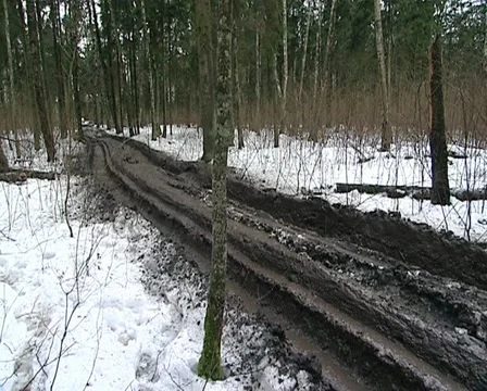 Muddy swamp road Stock Footage 10971666