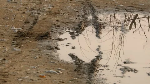 Muddy Tire Tracks And Tree Reflections In Rainwater Puddle In Countryside Stock Footage 345399210