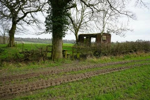 Muddy Tracks In Green Field With Rustic Shed And Bare Trees In Wessington, Stock Photos