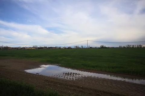 Muddy trail with a puddle 写真素材