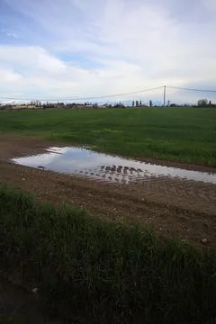 Muddy trail with a puddle Stock Photos