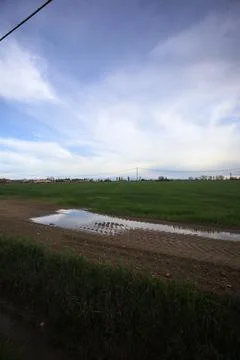 Muddy trail with a puddle 写真素材