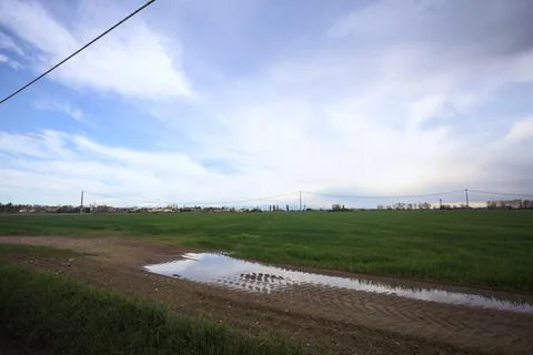Muddy trail with a puddle 写真素材