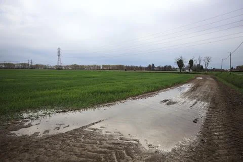 Muddy trail with a puddle 写真素材