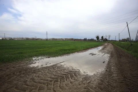 Muddy trail with a puddle 写真素材