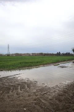 Muddy trail with a puddle 写真素材