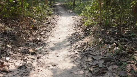 Muddy Trail Winding 스톡 동영상 332588650