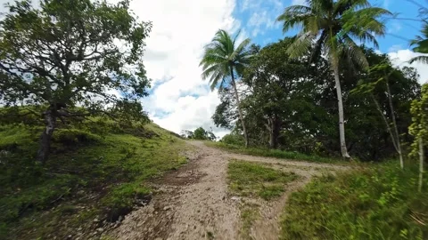 Muddy Uphill Path Under Shady Trees, Rustic Shelter At Ridgeline And Scattered Stock Footage 334664280
