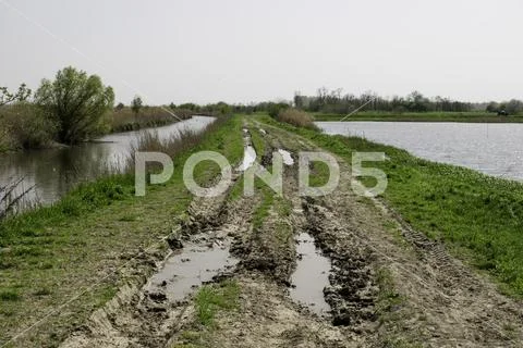 Muddy village road with puddle and water on both sides Stock Photos