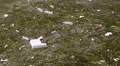 Muddy water. Abuse of environment HD Footage