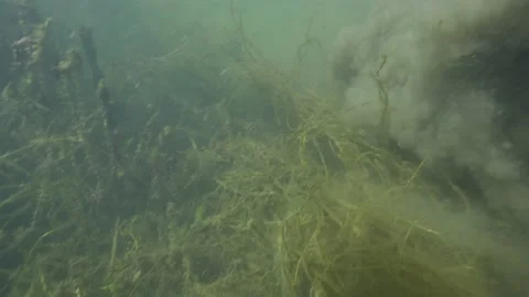 Muddy water with a cloud of mud and bubbles under the water Stock Footage 191993407