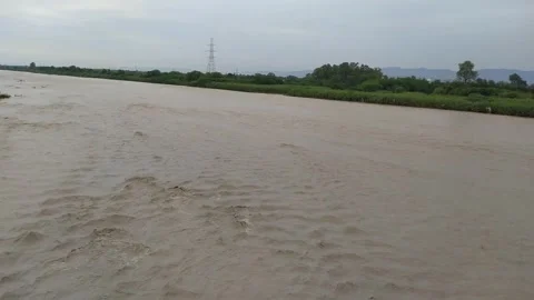 Muddy Water flowing in the river. Stock Footage 272200059