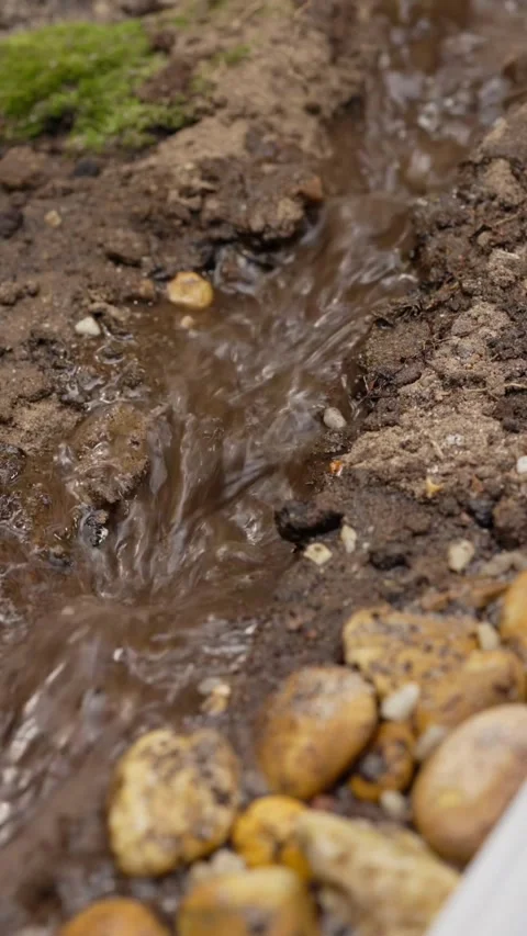 Muddy water flows through a narrow trench in soil Stock Footage 331769939