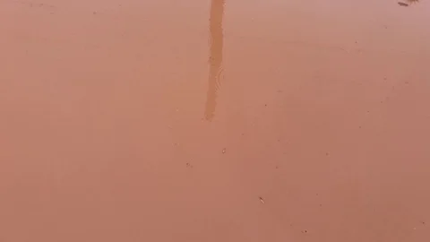 Muddy water Stock Footage 97090680