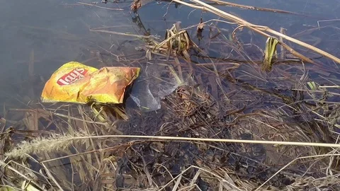 Muddy water, garbage 動画素材 88886852