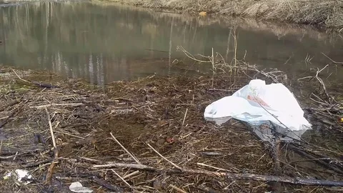 Muddy water, garbage, packet Stock Footage 88886854