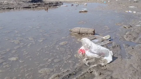 Muddy water, garbage, packet Stock Footage 88886855