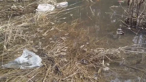 Muddy water, garbage, packet Stock Footage 88886856