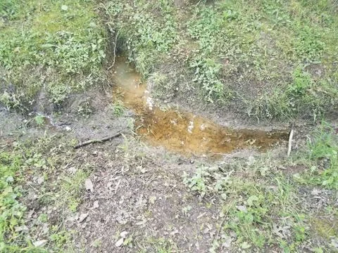 Muddy water Stock Photos