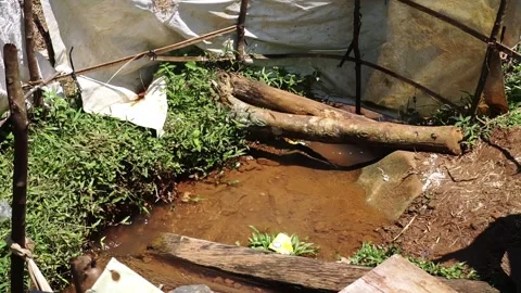 Muddy Water Pool in a Rural Setting Stock Footage 308780532