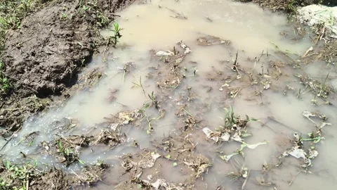 Muddy water puddle pooling on the ground outdoors Stock Footage 346485130