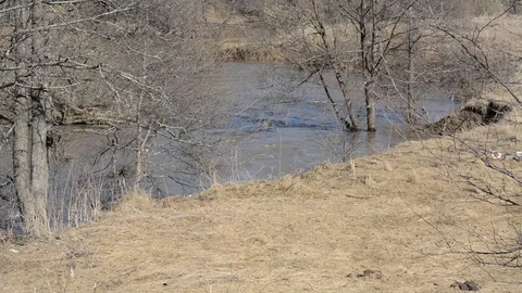 Muddy water in the river on the background of dry grass and spring trees Stock Footage 89610909