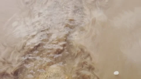 Muddy water slow motion Stock Footage 149836356